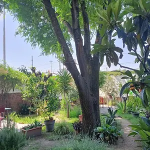 With A Garden , Milano Italia